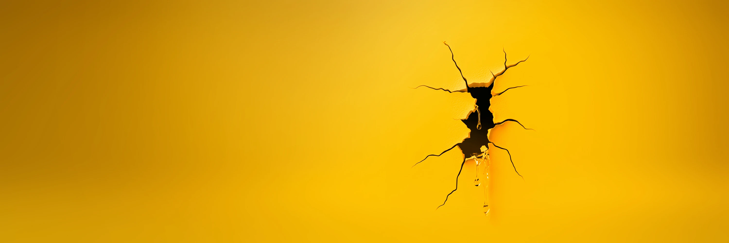 Illustration du service Infiltration